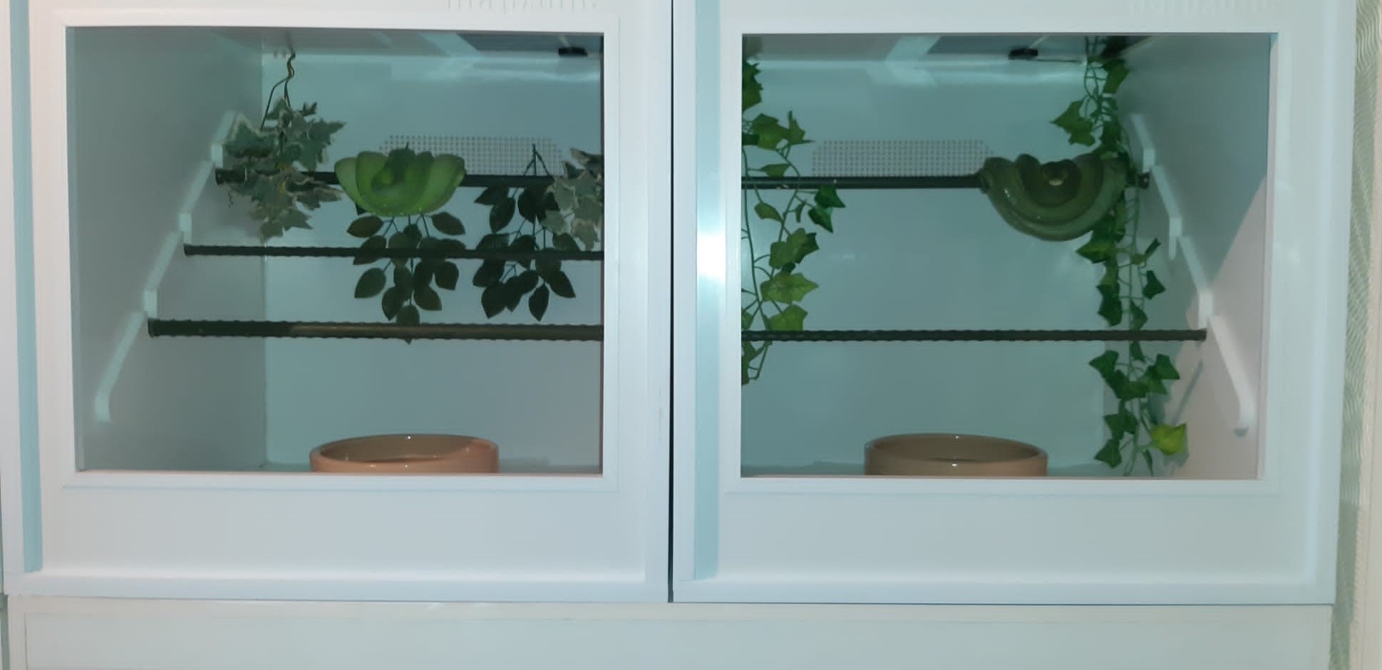 Two PVC enclosures designed for arboreal species and perfect for Green Tree Pythons. Notice the slots on the wall for perches to slide into